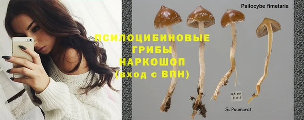 таблы Каменногорск