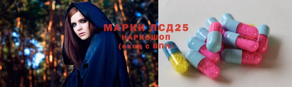 крисы Ленинск