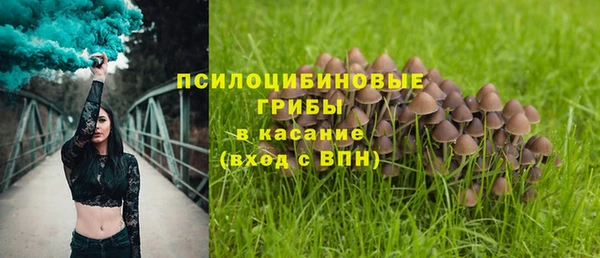 трава Рославль