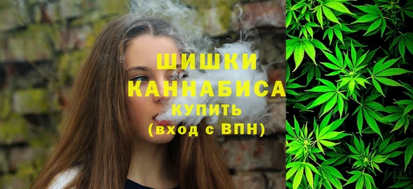молекула духа Протвино