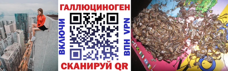 МЕГА как зайти  Сысерть  Галлюциногенные грибы мухоморы 